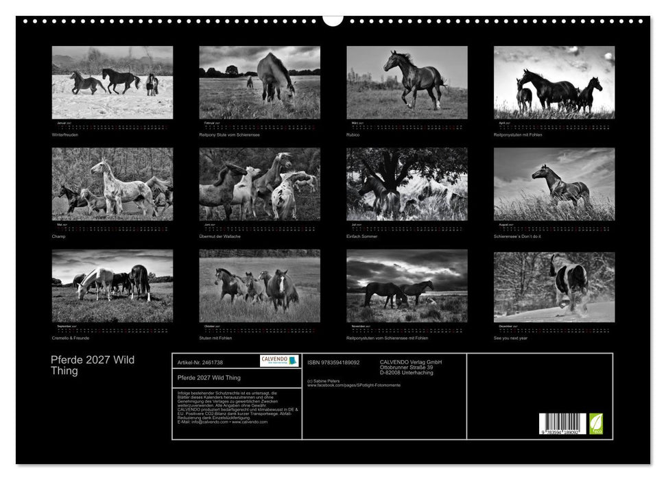 Pferde 2027 Wild Thing (CALVENDO Wandkalender 2027)