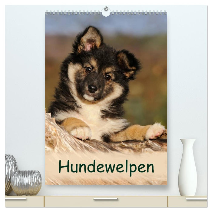 Hundewelpen (CALVENDO Premium Wandkalender 2027)