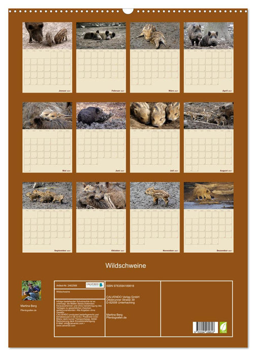 Wildschweine (CALVENDO Wandkalender 2027)