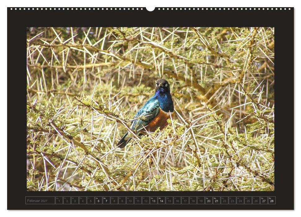 Kenia (CALVENDO Premium Wandkalender 2027)