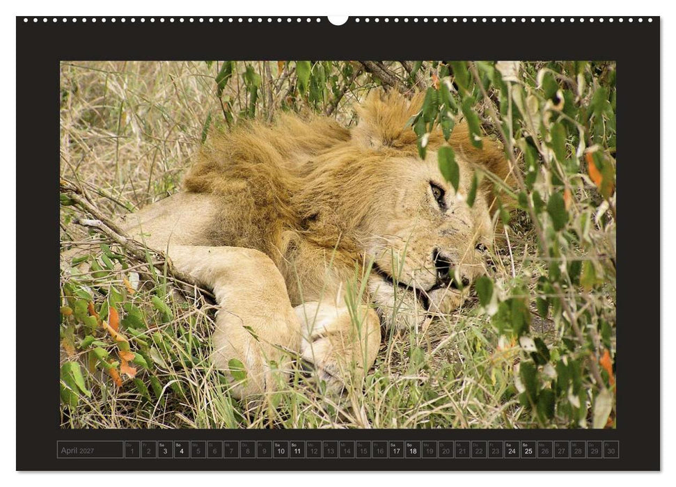 Kenia (CALVENDO Premium Wandkalender 2027)