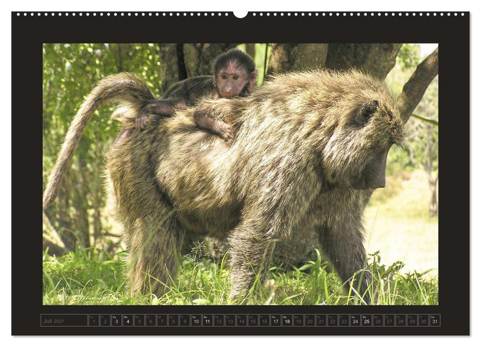 Kenia (CALVENDO Premium Wandkalender 2027)