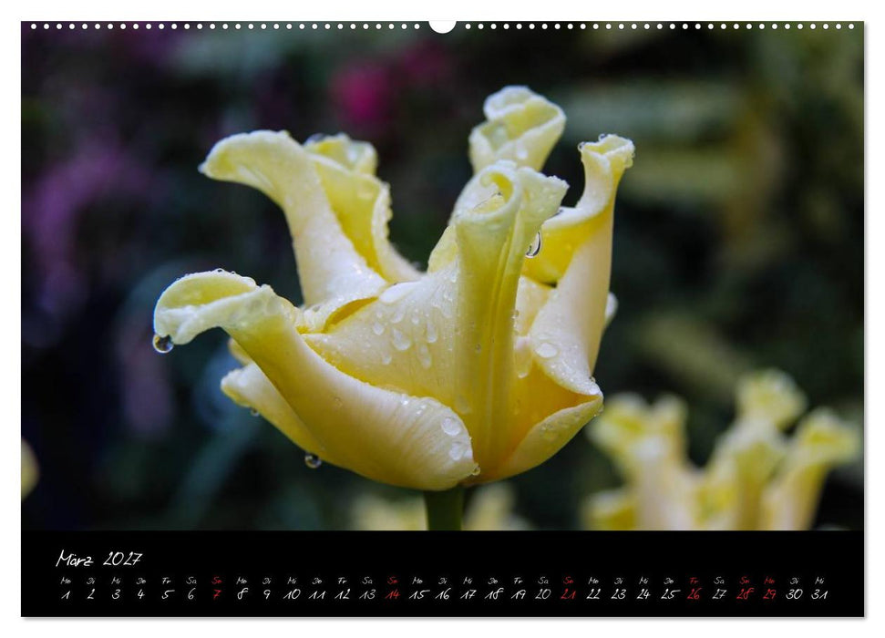 Butchart Gardens 2027 (CALVENDO Premium Wandkalender 2027)