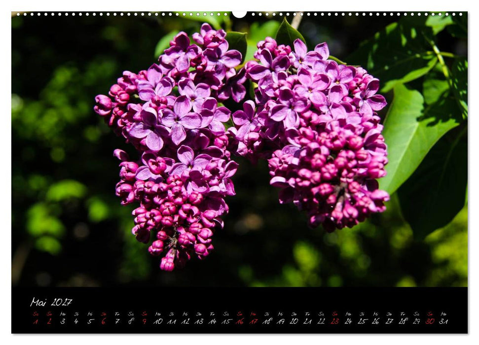 Butchart Gardens 2027 (CALVENDO Premium Wandkalender 2027)