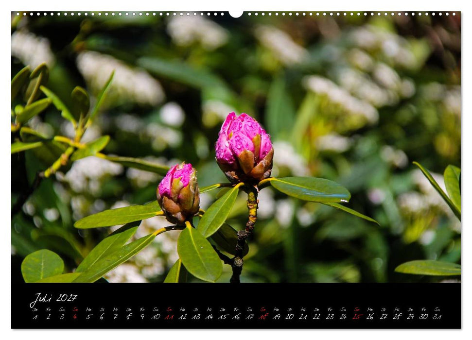 Butchart Gardens 2027 (CALVENDO Premium Wandkalender 2027)