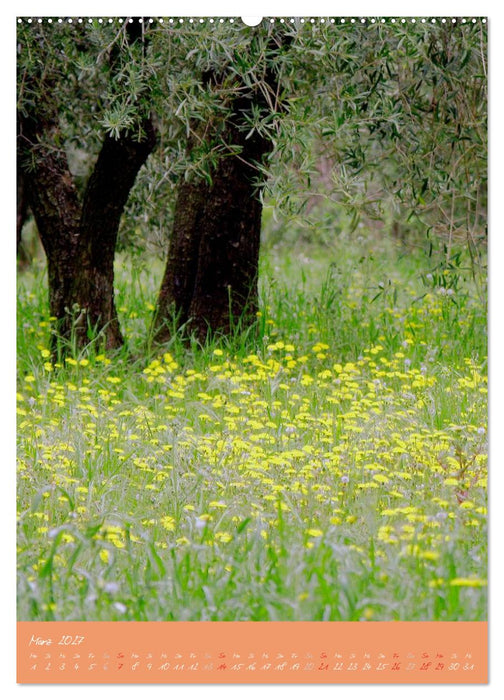 Provence Idyllen (CALVENDO Wandkalender 2027)