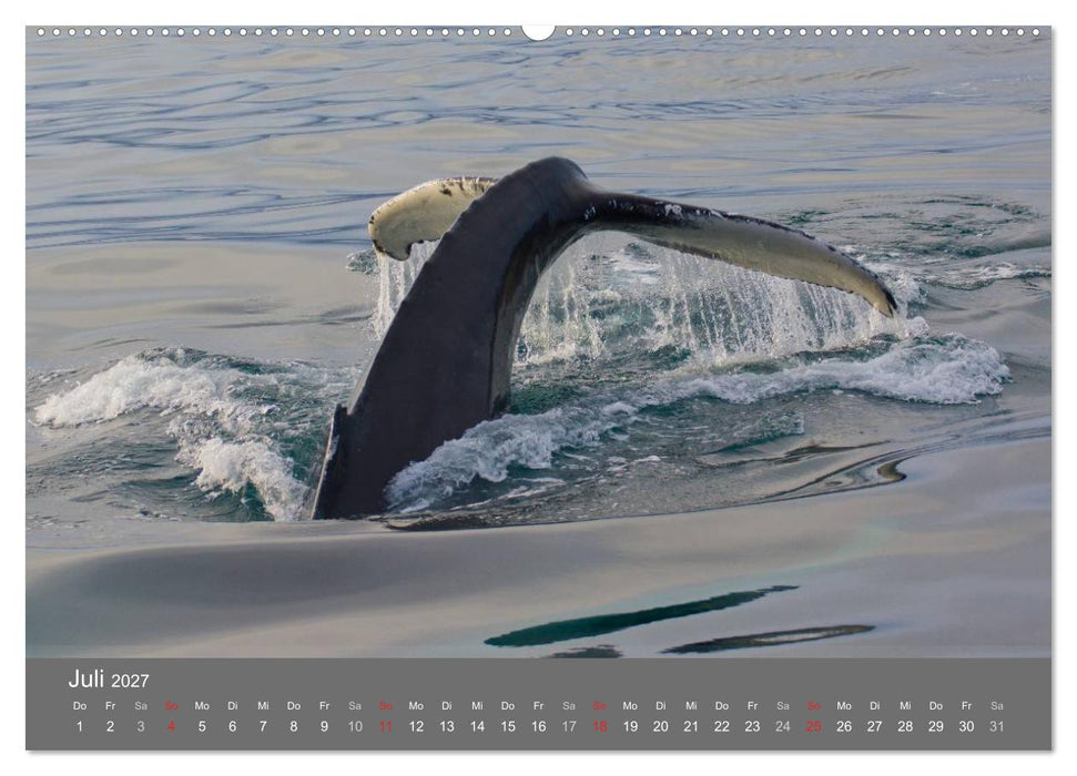 Island 2027 (CALVENDO Premium Wandkalender 2027)