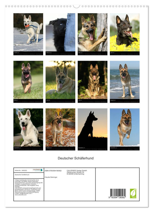 Deutscher Schäferhund (CALVENDO Premium Wandkalender 2027)