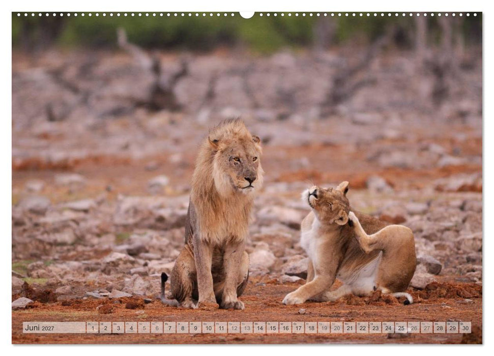NAMIBIA Christian Heeb (CALVENDO Wandkalender 2027)