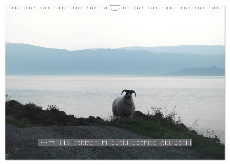 Schottlands Highland Schafe (CALVENDO Wandkalender 2027)