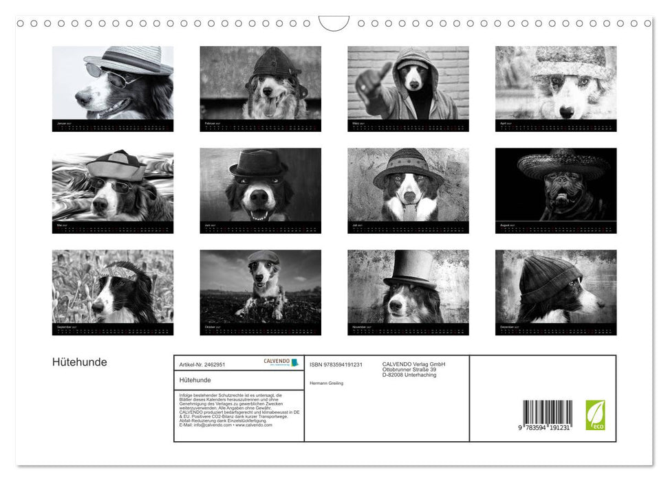 Hütehunde (CALVENDO Wandkalender 2027)