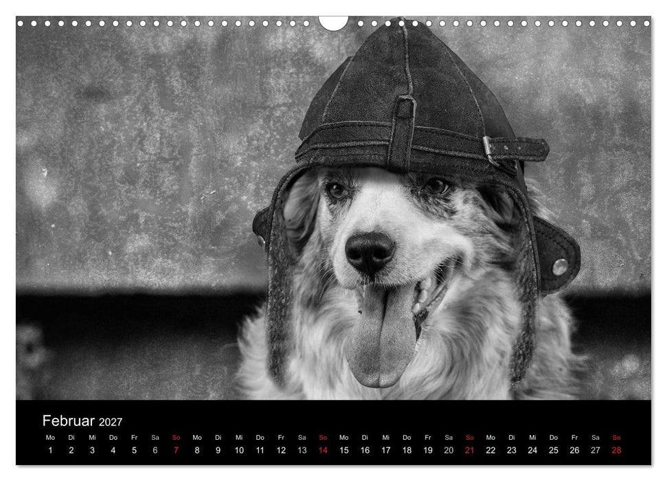 Hütehunde (CALVENDO Wandkalender 2027)