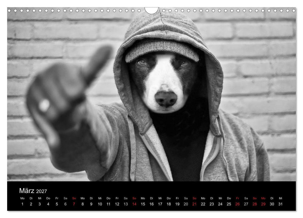 Hütehunde (CALVENDO Wandkalender 2027)