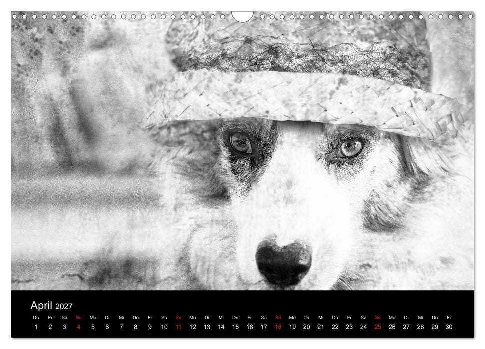 Hütehunde (CALVENDO Wandkalender 2027)