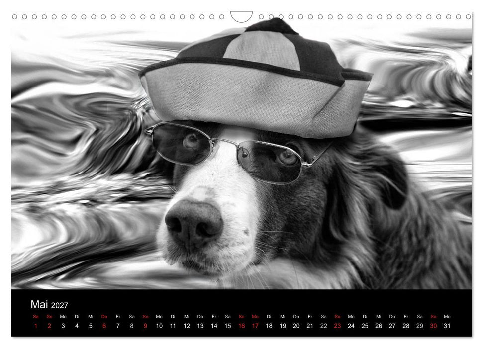Hütehunde (CALVENDO Wandkalender 2027)