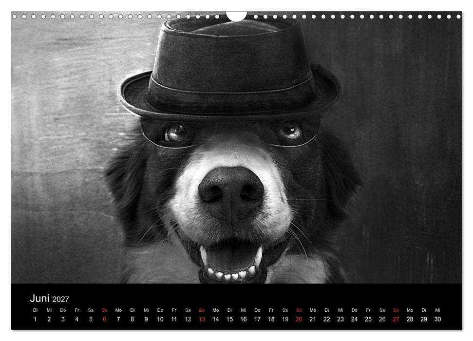 Hütehunde (CALVENDO Wandkalender 2027)