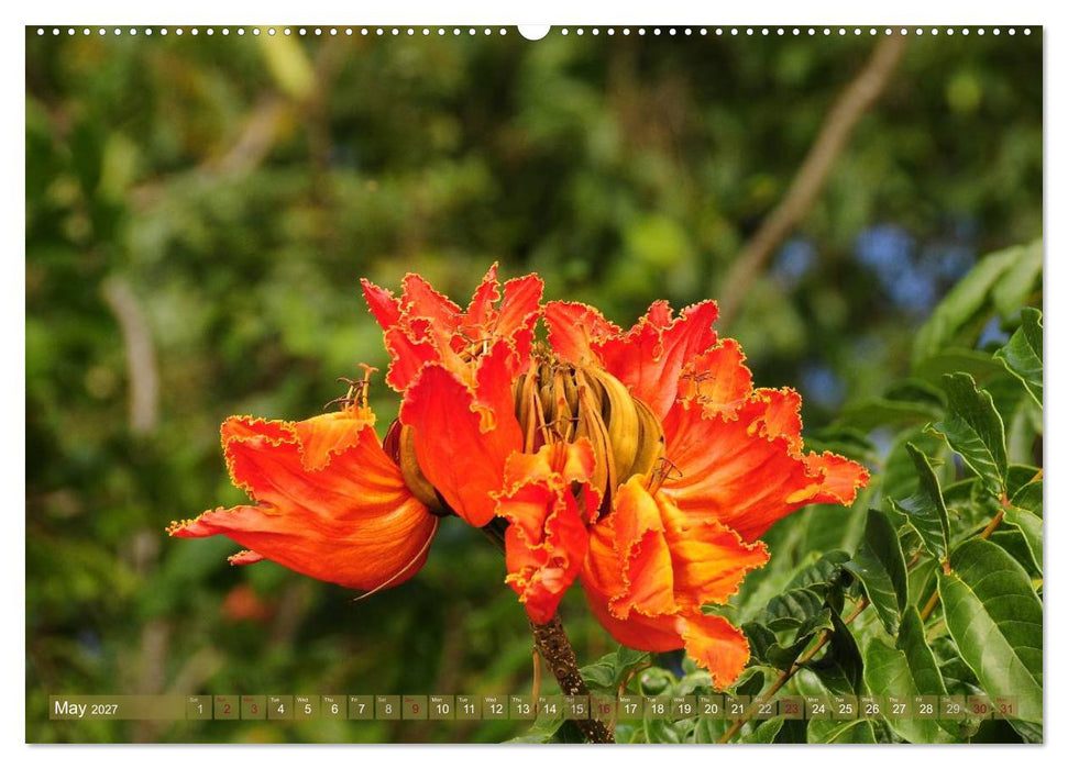 The Paradise of Hawaii (CALVENDO Premium-Calendar 2027)