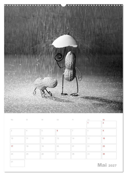 Simple Things 2027 (CALVENDO Premium Wandkalender 2027)