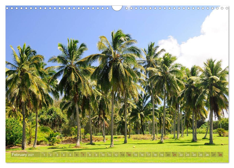 The Paradise of Hawaii (CALVENDO Monthly Calendar 2027)
