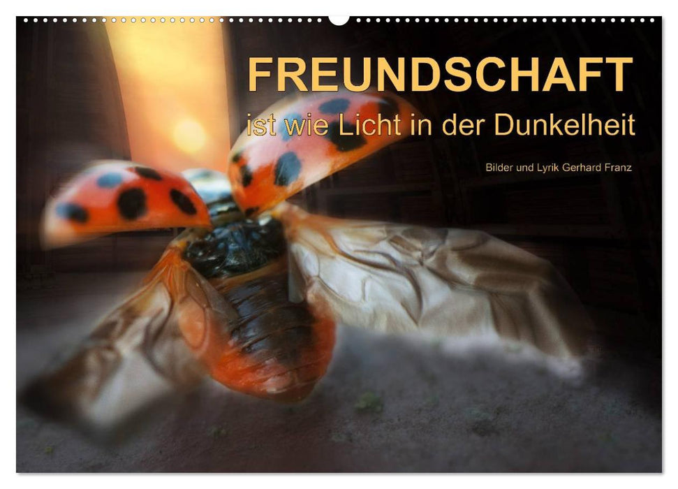 Freundschaft (CALVENDO Wandkalender 2027)