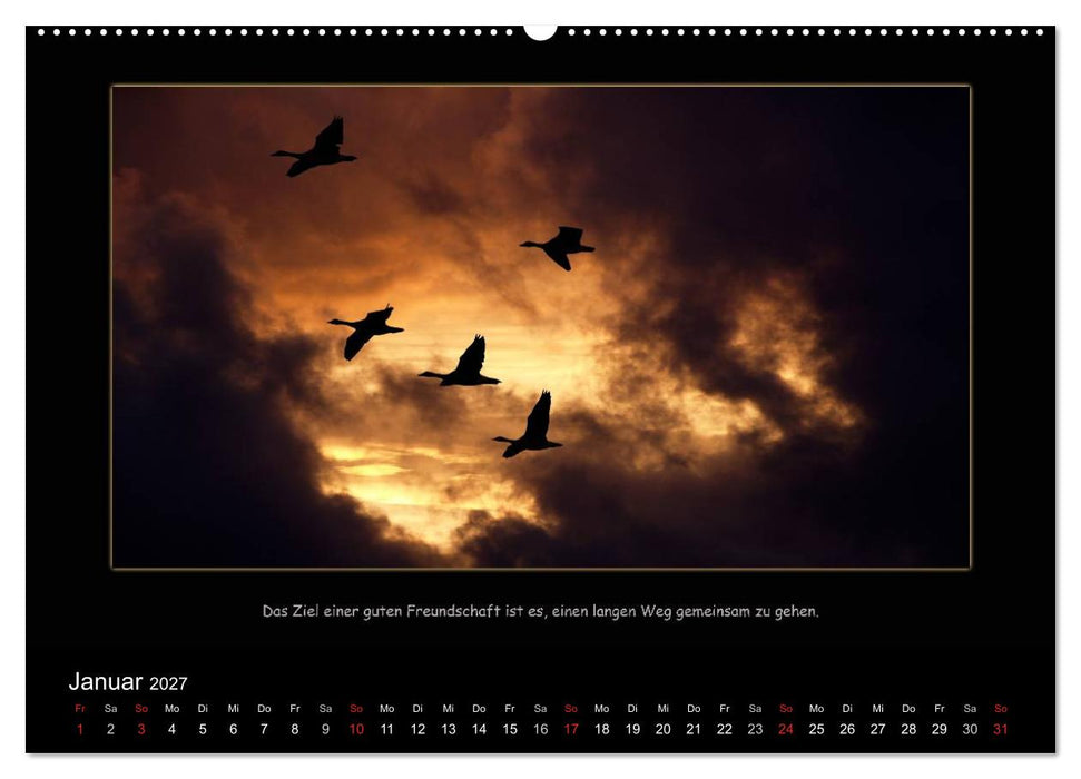 Freundschaft (CALVENDO Wandkalender 2027)