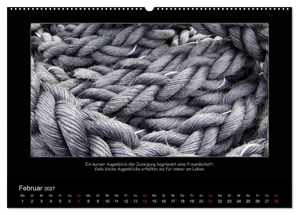 Freundschaft (CALVENDO Wandkalender 2027)