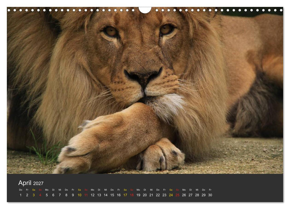 Tierpark-Gera (CALVENDO Wandkalender 2027)