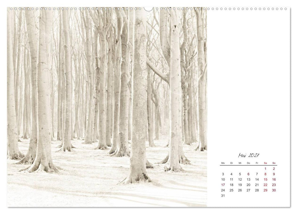 Kalendersprüche (CALVENDO Wandkalender 2027)