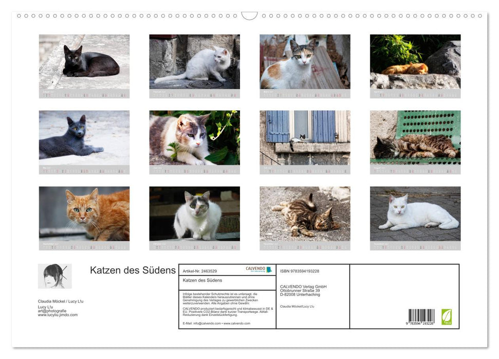 Katzen des Südens (CALVENDO Wandkalender 2027)