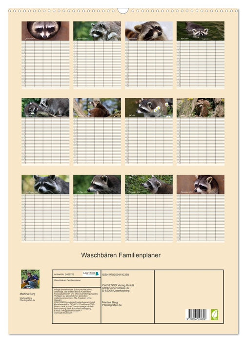 Waschbären Familienplaner (CALVENDO Wandkalender 2027)