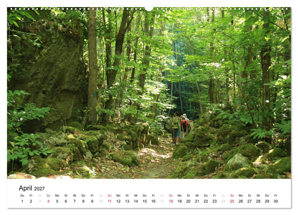Ischia (CALVENDO Wandkalender 2027)