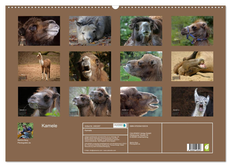 Kamele (CALVENDO Wandkalender 2027)
