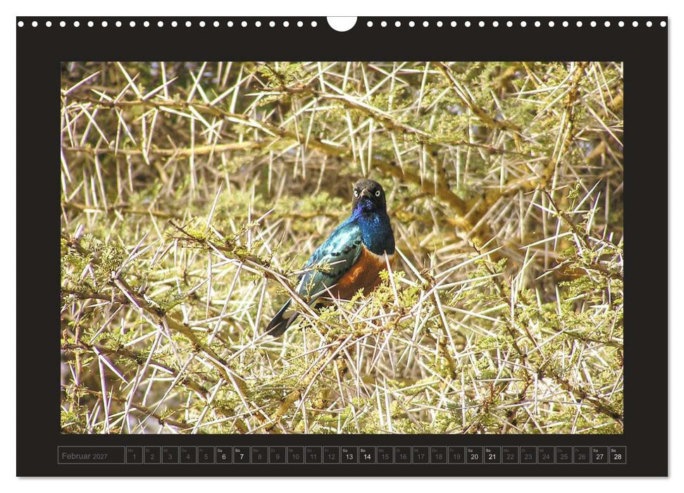 Kenia (CALVENDO Wandkalender 2027)