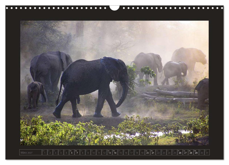 Kenia (CALVENDO Wandkalender 2027)