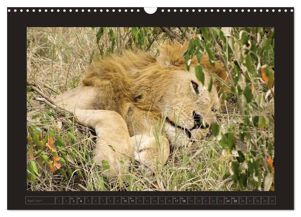 Kenia (CALVENDO Wandkalender 2027)