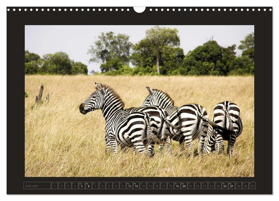 Kenia (CALVENDO Wandkalender 2027)