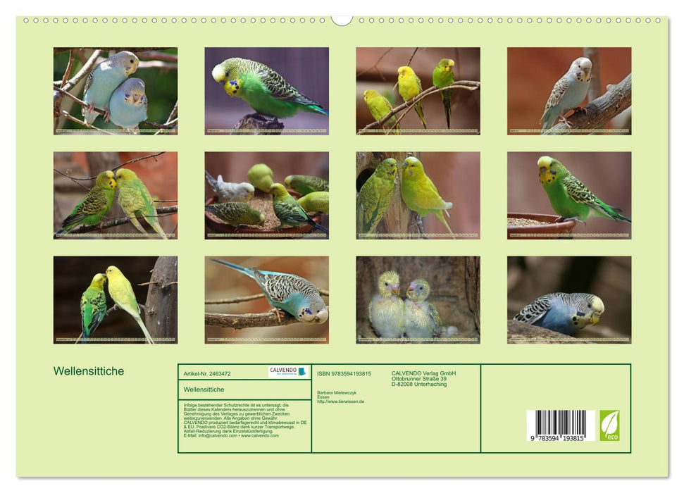 Wellensittiche (CALVENDO Premium Wandkalender 2027)