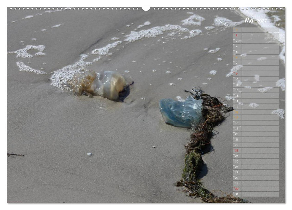 Strandspaziergang / Geburtstagskalender (CALVENDO Wandkalender 2027)