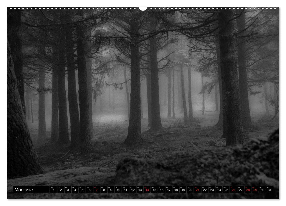 Stille Momente in Schwarz-Weiss (CALVENDO Premium Wandkalender 2027)
