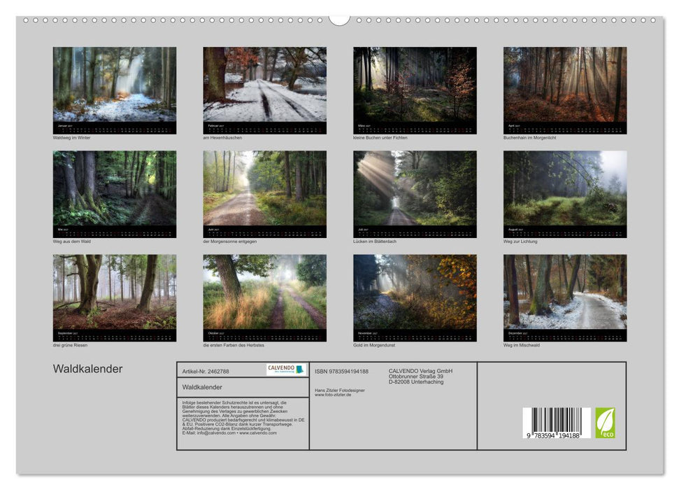Waldkalender (CALVENDO Premium Wandkalender 2027)