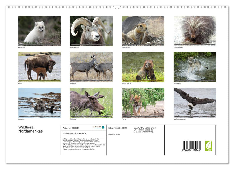 Wildtiere Nordamerikas (CALVENDO Premium Wandkalender 2027)
