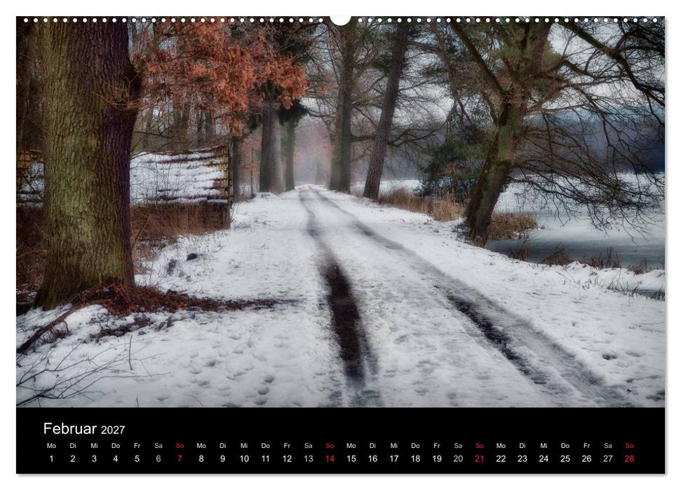 Waldkalender (CALVENDO Wandkalender 2027)