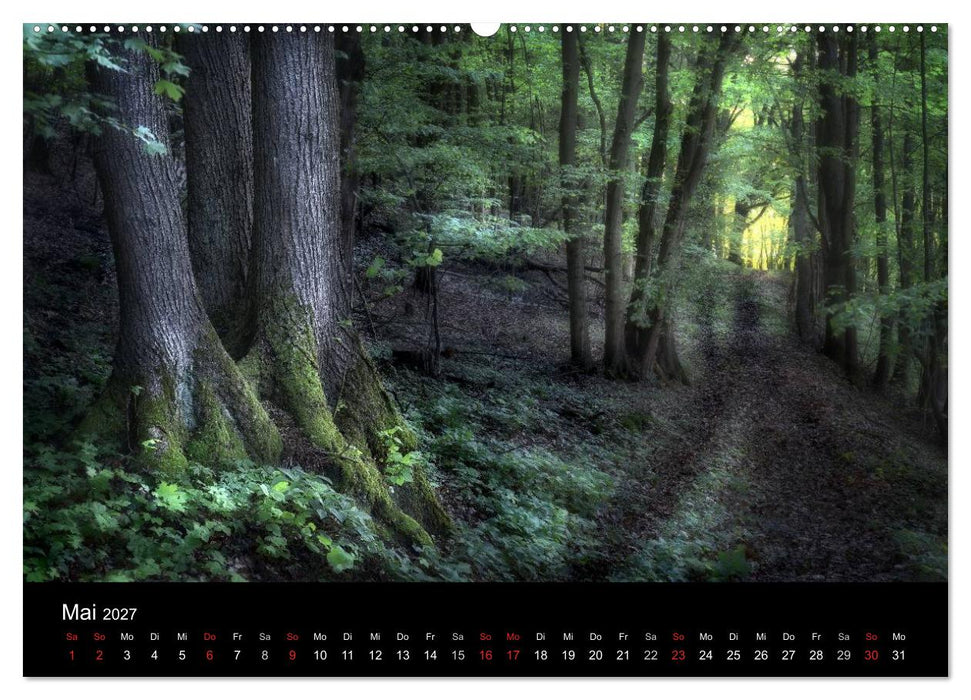 Waldkalender (CALVENDO Wandkalender 2027)
