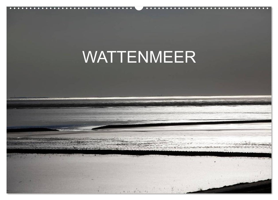 Wattenmeer (CALVENDO Wandkalender 2027)