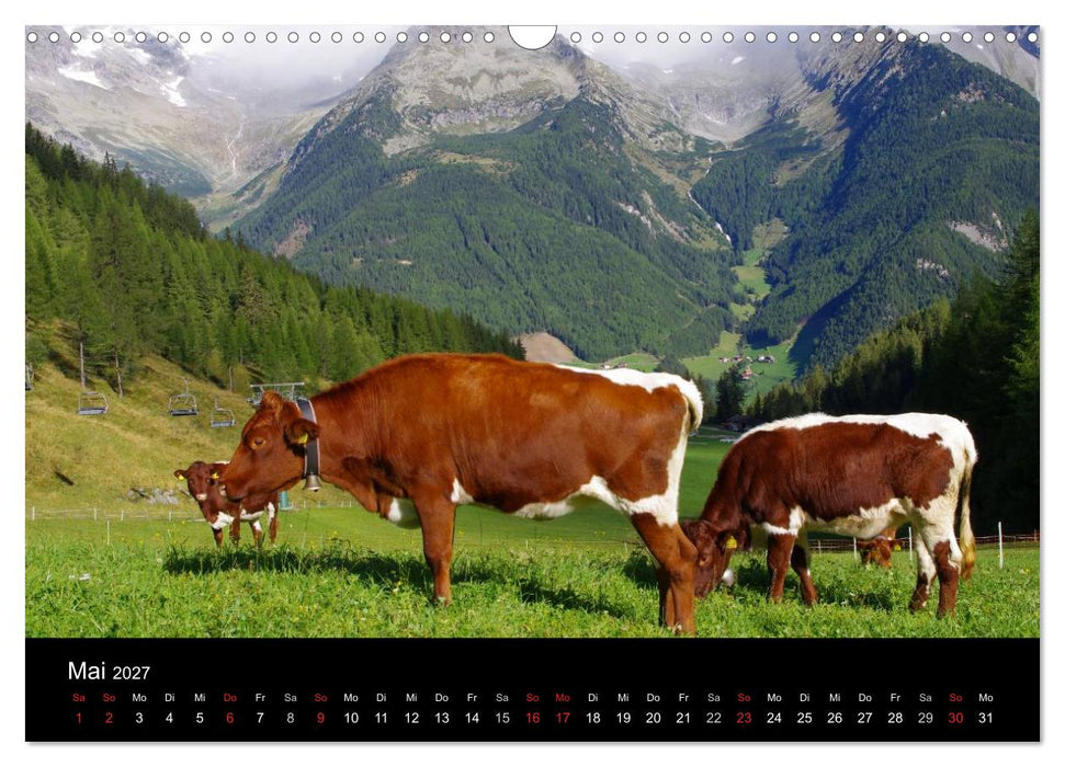 Südtirol 2027 (CALVENDO Wandkalender 2027)