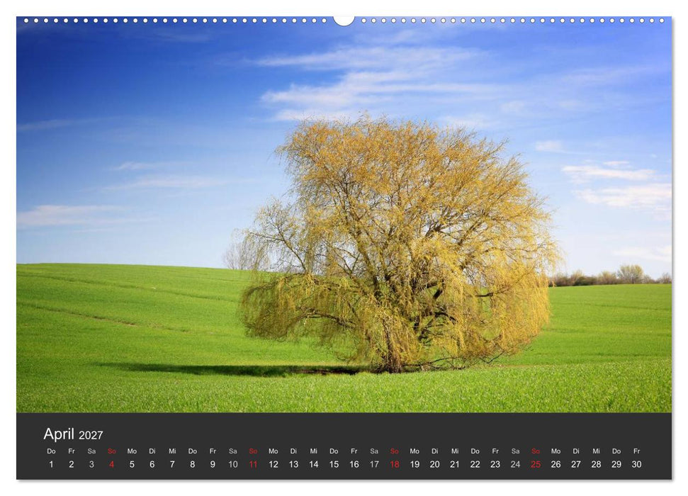Mecklenburg-Vorpommern (CALVENDO Wandkalender 2027)