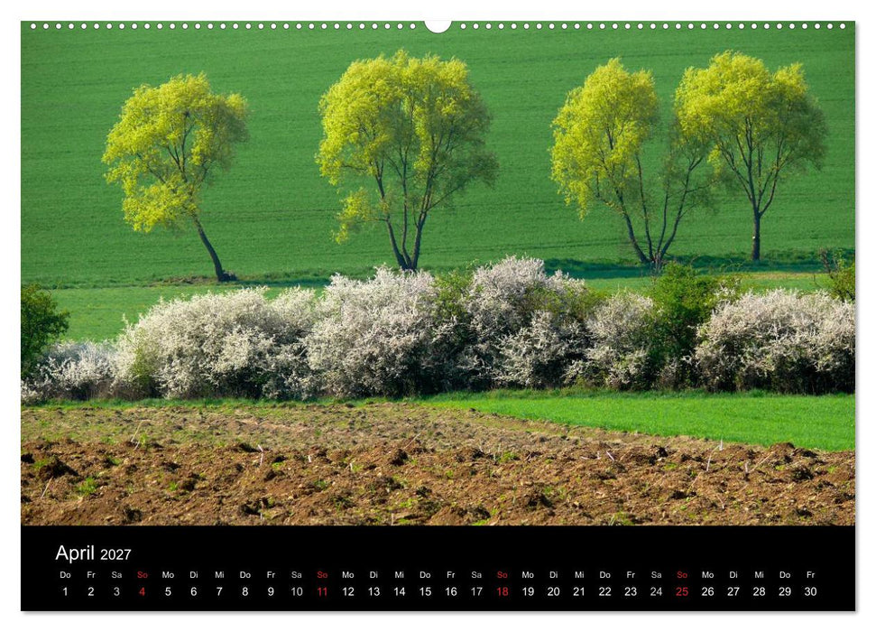 Bäume 2027 (CALVENDO Premium Wandkalender 2027)