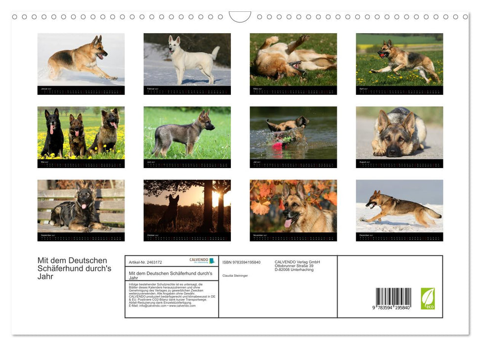 Mit dem Deutschen Schäferhund durch's Jahr (CALVENDO Wandkalender 2027)
