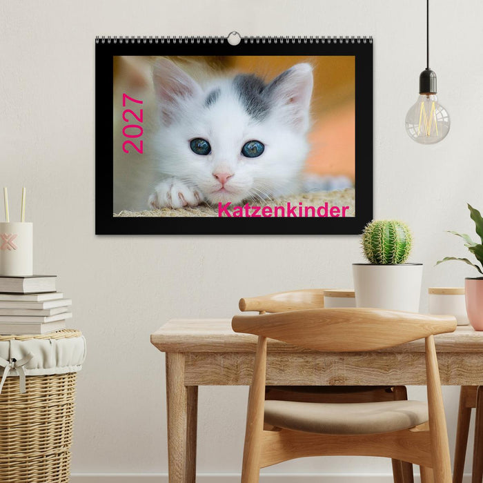 Katzenkinder (CALVENDO Wandkalender 2027)