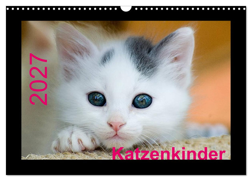 Katzenkinder (CALVENDO Wandkalender 2027)